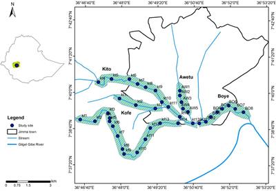 Sediment and Nutrient Retention Capacity of Natural Riverine Wetlands in Southwest Ethiopia